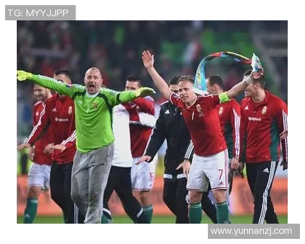 挪威足球明星球员的崛起与成就探讨